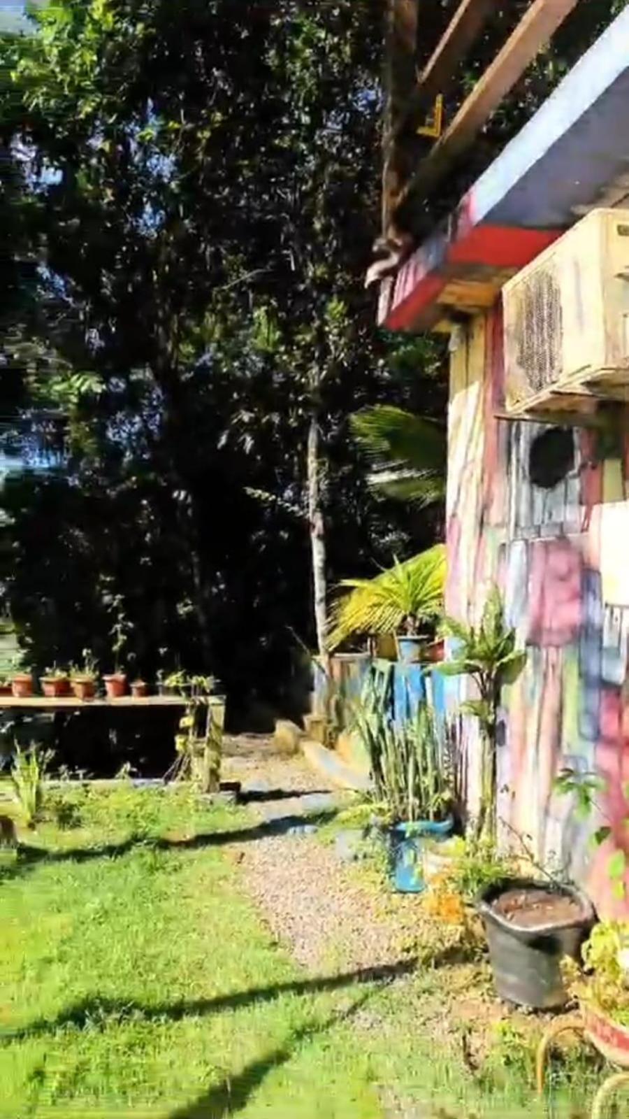 מורו דה סאו פאולו A Figueira Sagrada - Hostel מראה חיצוני תמונה